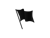Black flag logo
