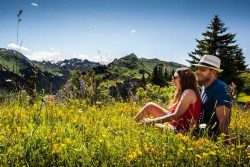 Mountains in bloom!