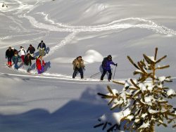 Snowshoeing - Vaujany, Alpe d'huez