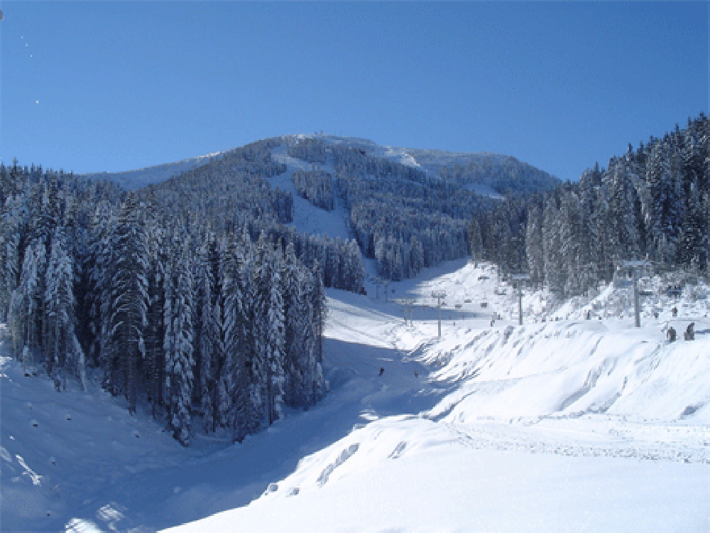 Chalet Mila - Bansko view