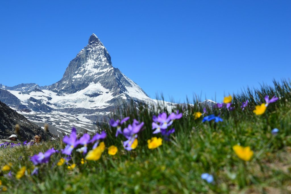 Zermatt summer in the Alps