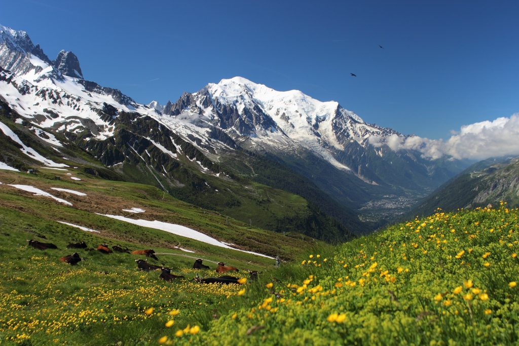 Mont Blanc - summer in the alps