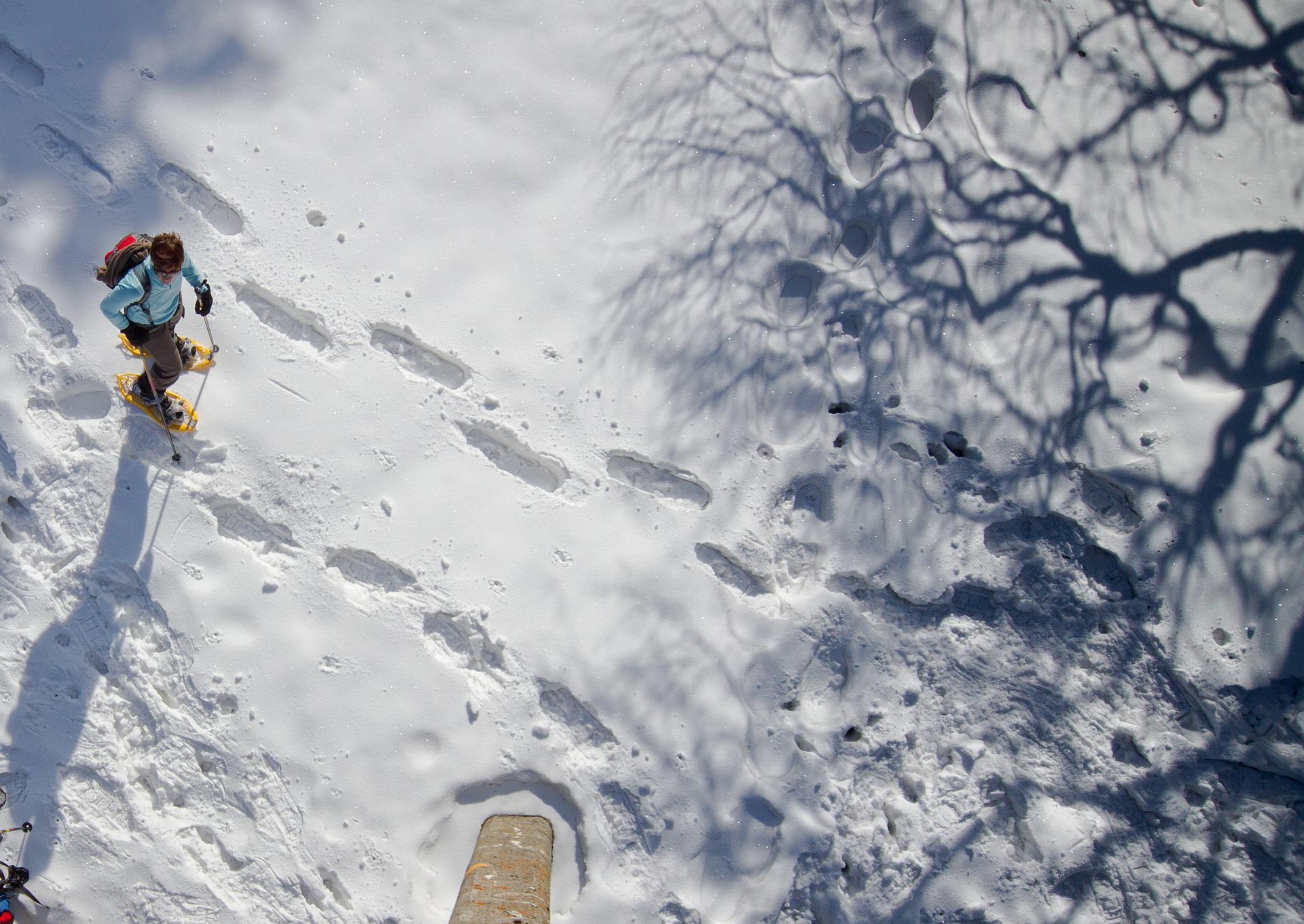 Snowshoeing 